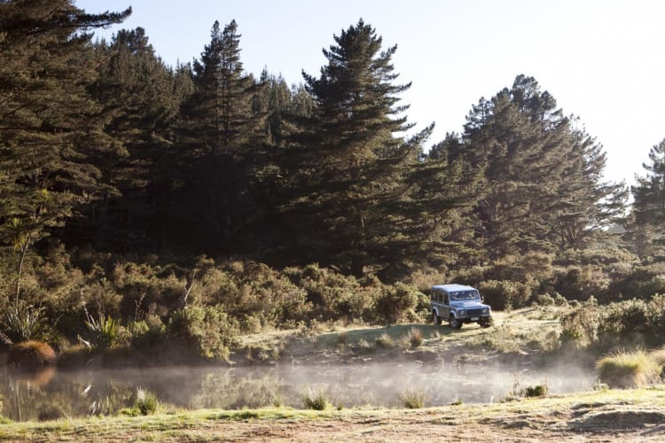 Signature experience 4wd safari-early-morning-mist